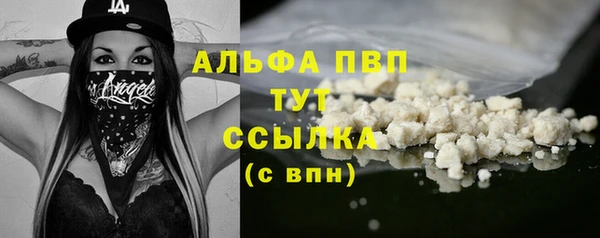 PSILOCYBIN Белокуриха