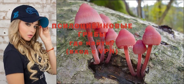PSILOCYBIN Белокуриха