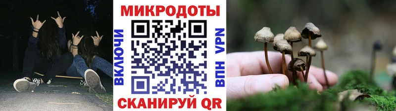 Галлюциногенные грибы Psilocybine cubensis  shop состав  Юхнов 